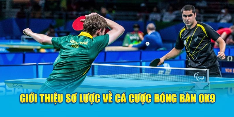 Giới thiệu sơ lược về cá cược bóng bàn OK9